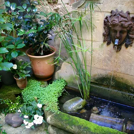Bed & Breakfast L'albiousse *